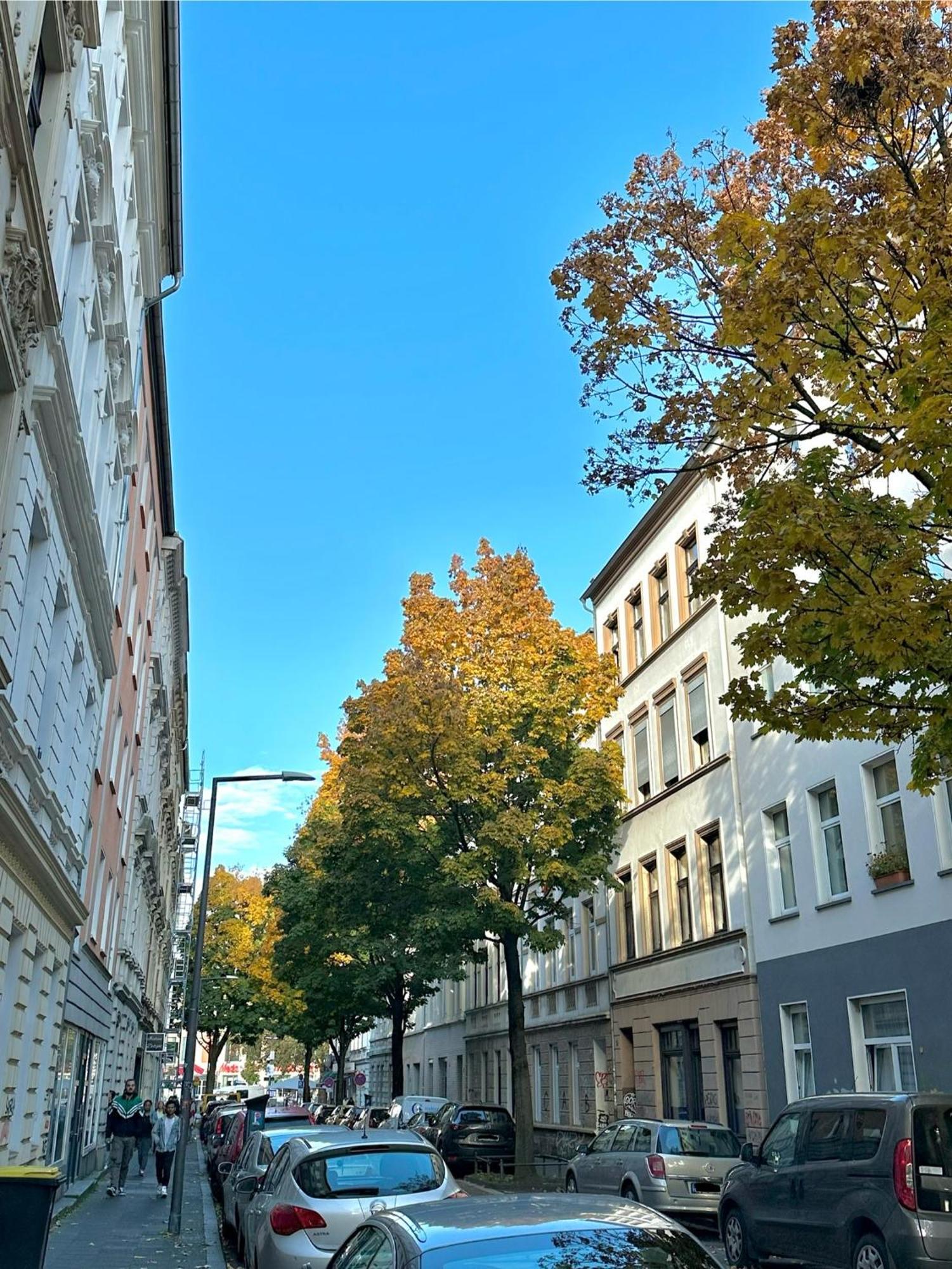 City-apartment - Kurze Wege Zu Messe Und Lanxessarena Apartment